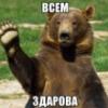 MIshki_na_severe